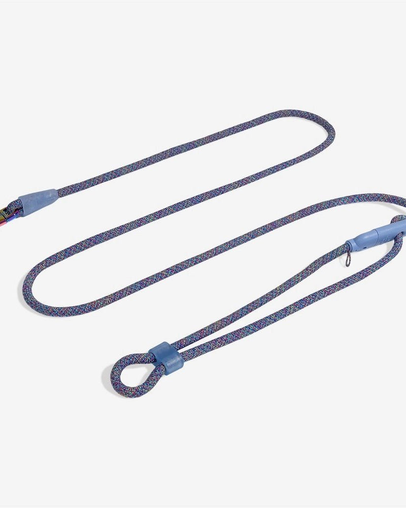 Hands - Free Leash - Modern Companion