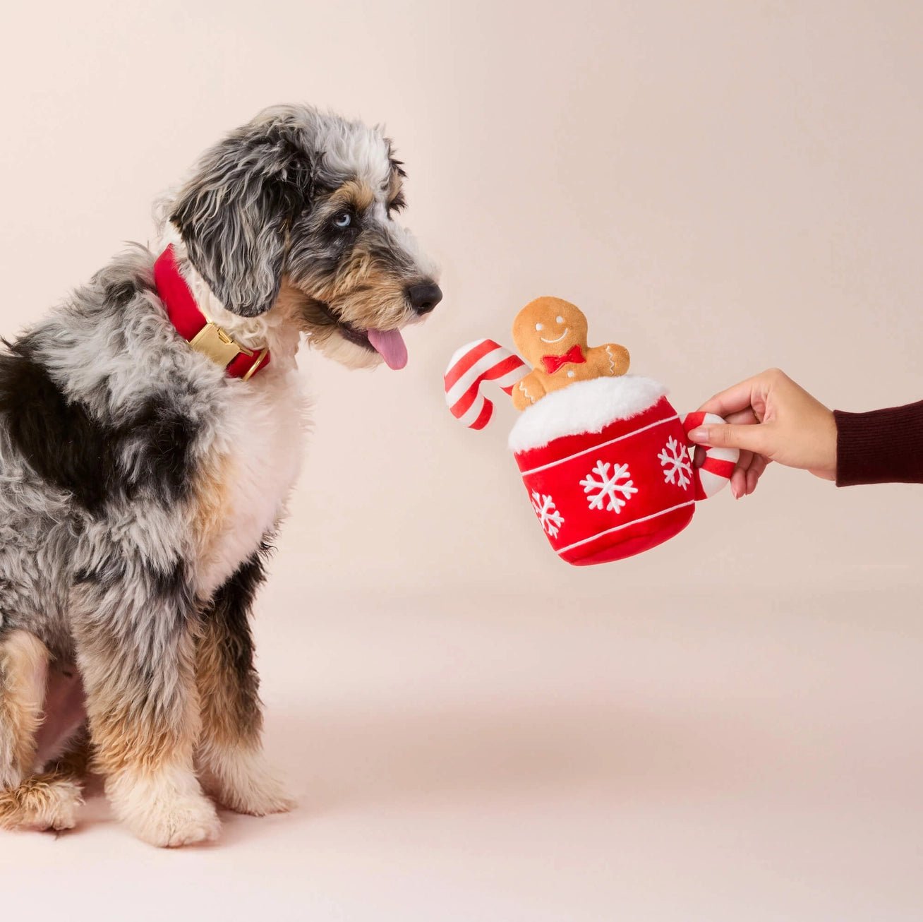 Holiday Hot Cocoa Interactive Snuffle Toy - Modern Companion