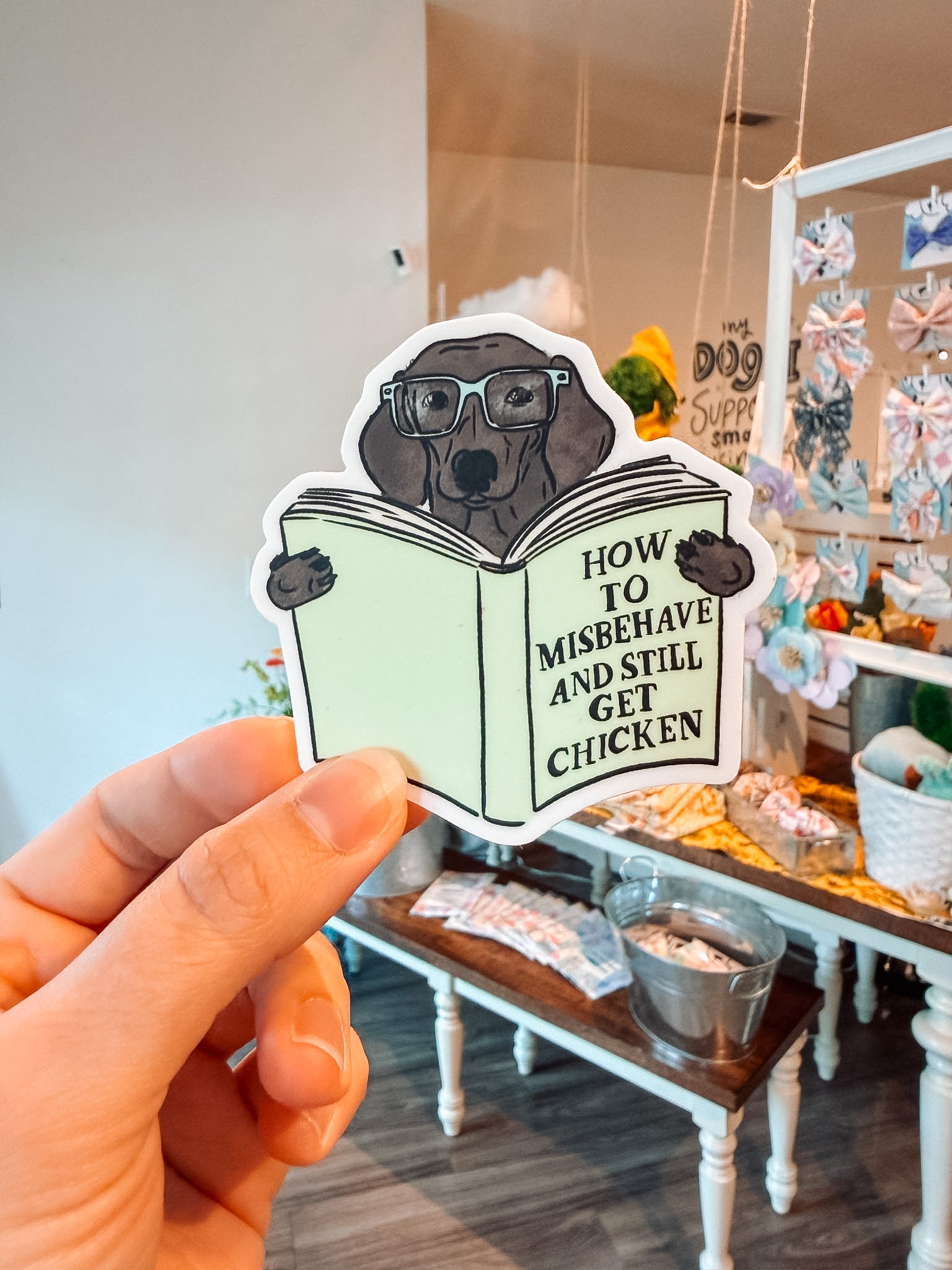 How To Misbehave and Still Get Chicken Sticker - Modern Companion