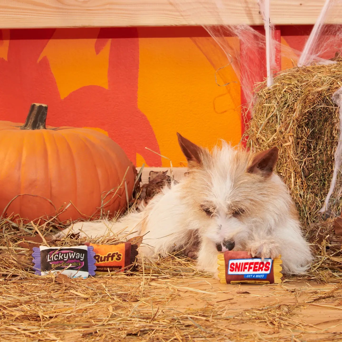 Howl - O - Ween Candy Plush Toy - Modern Companion