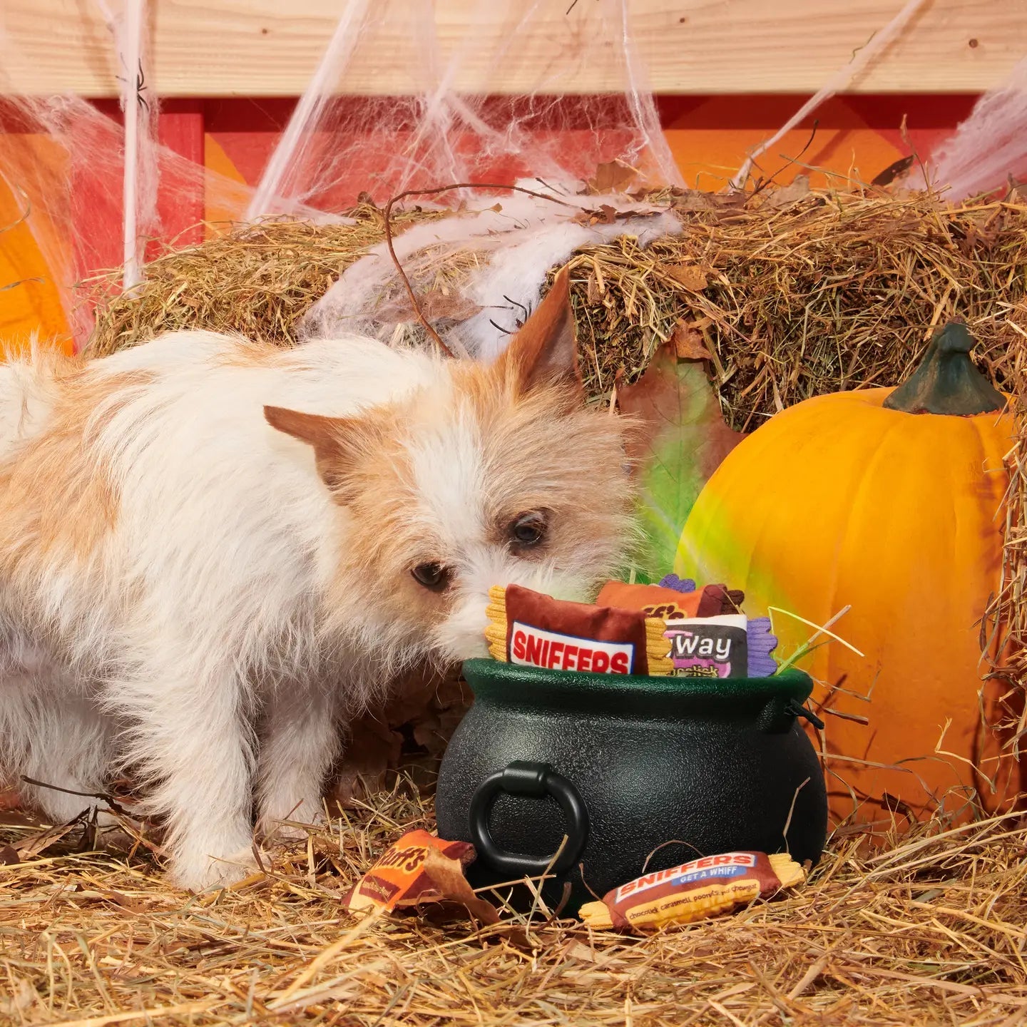 Howl - O - Ween Candy Plush Toy - Modern Companion