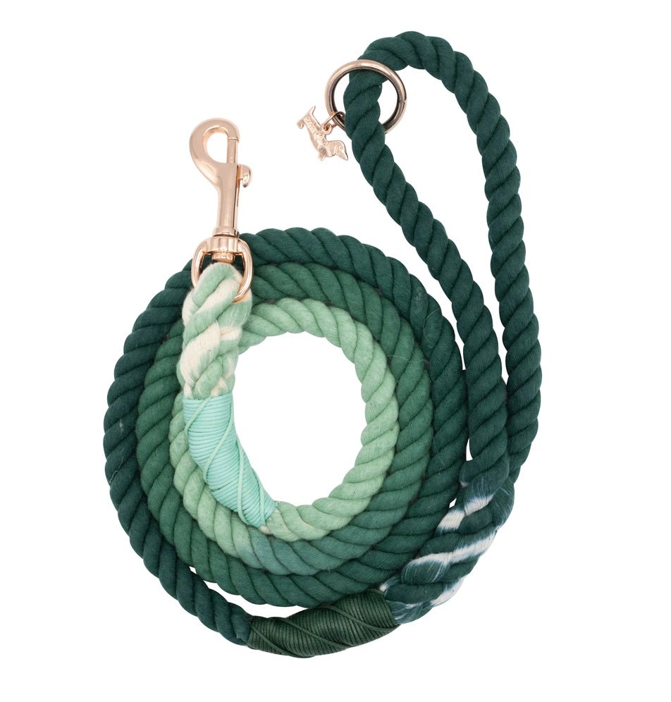 Hunter Rope Leash - Modern Companion