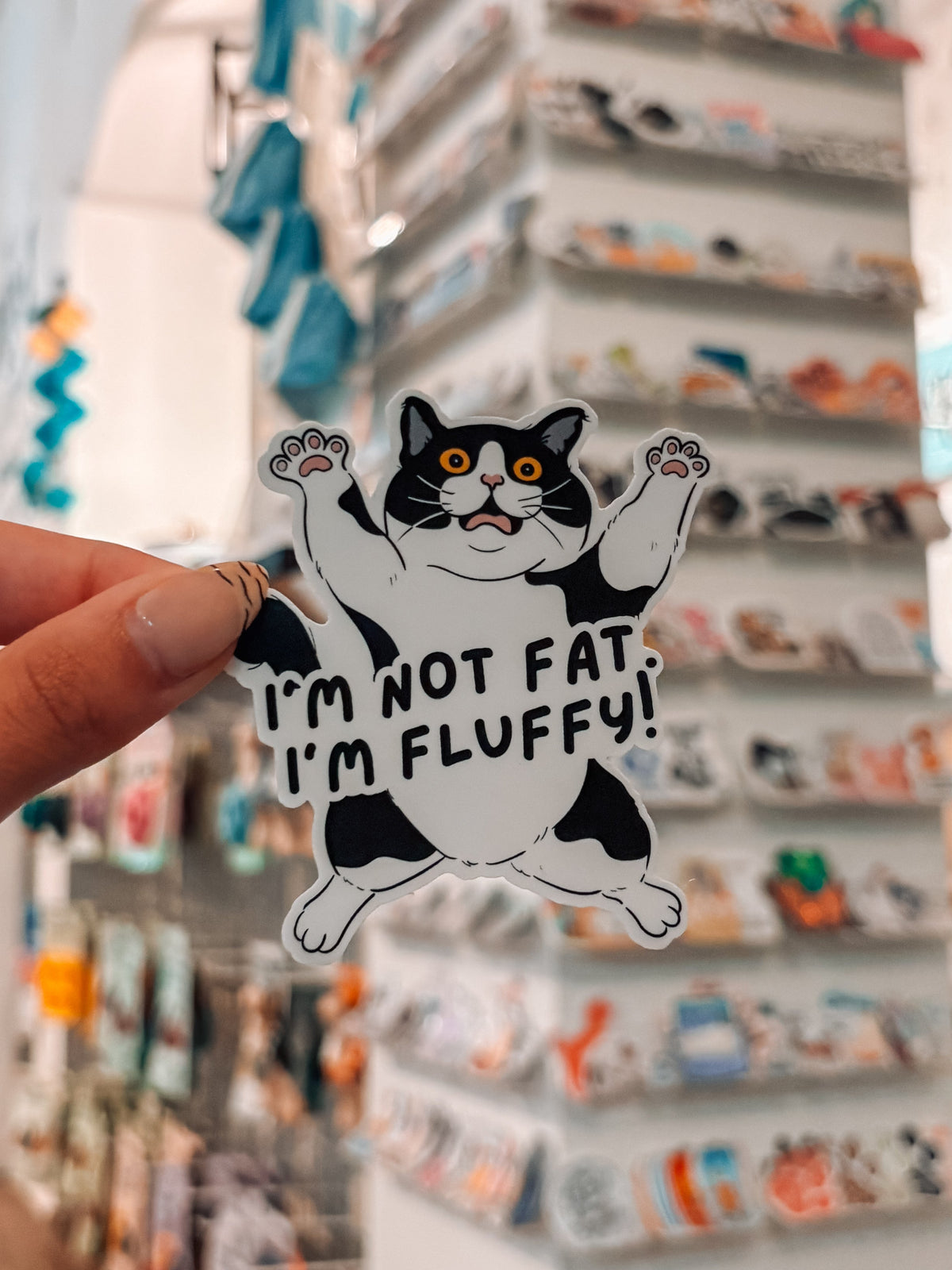 I'm Not Fat. I'm Fluffy Cat Laptop Sticker - Modern Companion