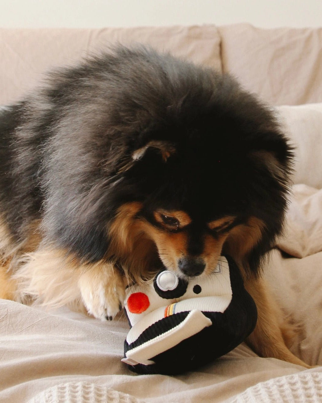 Instant Camera Enrichment Toy - Modern Companion