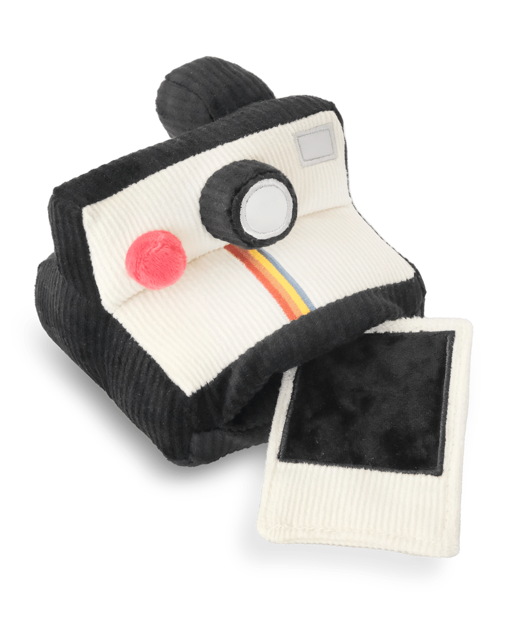 Instant Camera Enrichment Toy - Modern Companion