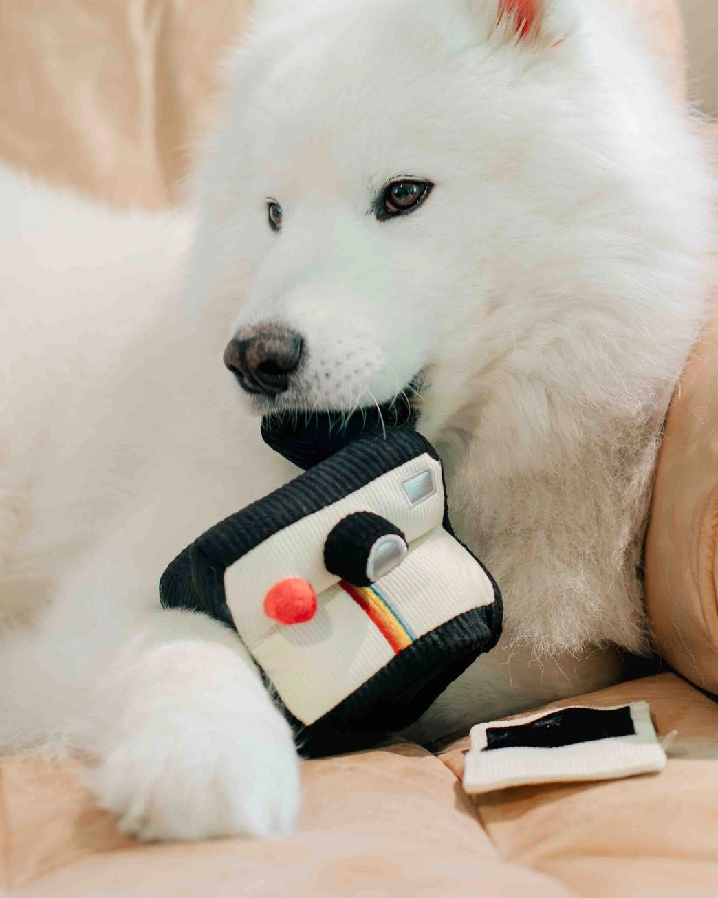 Instant Camera Enrichment Toy - Modern Companion