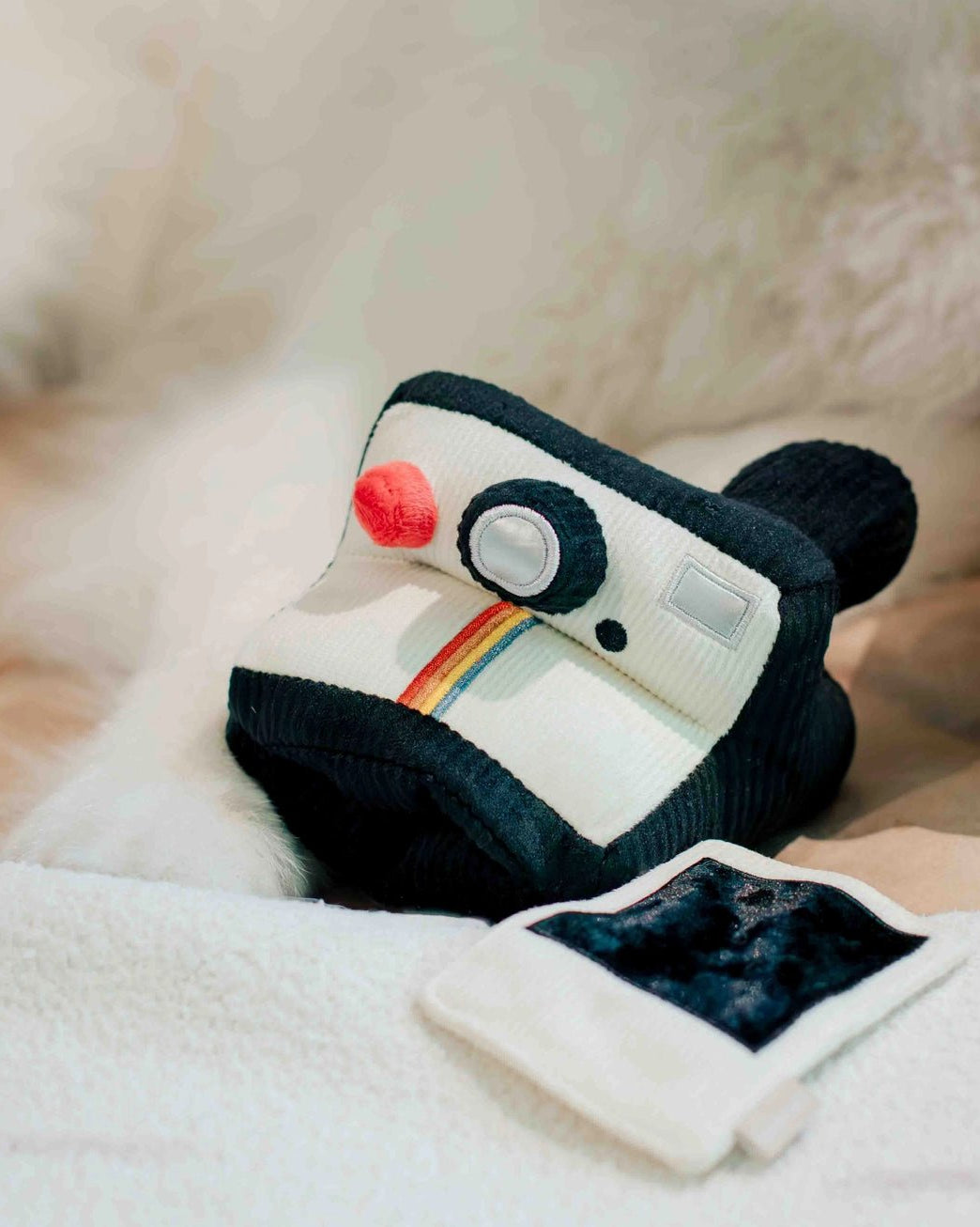 Instant Camera Enrichment Toy - Modern Companion