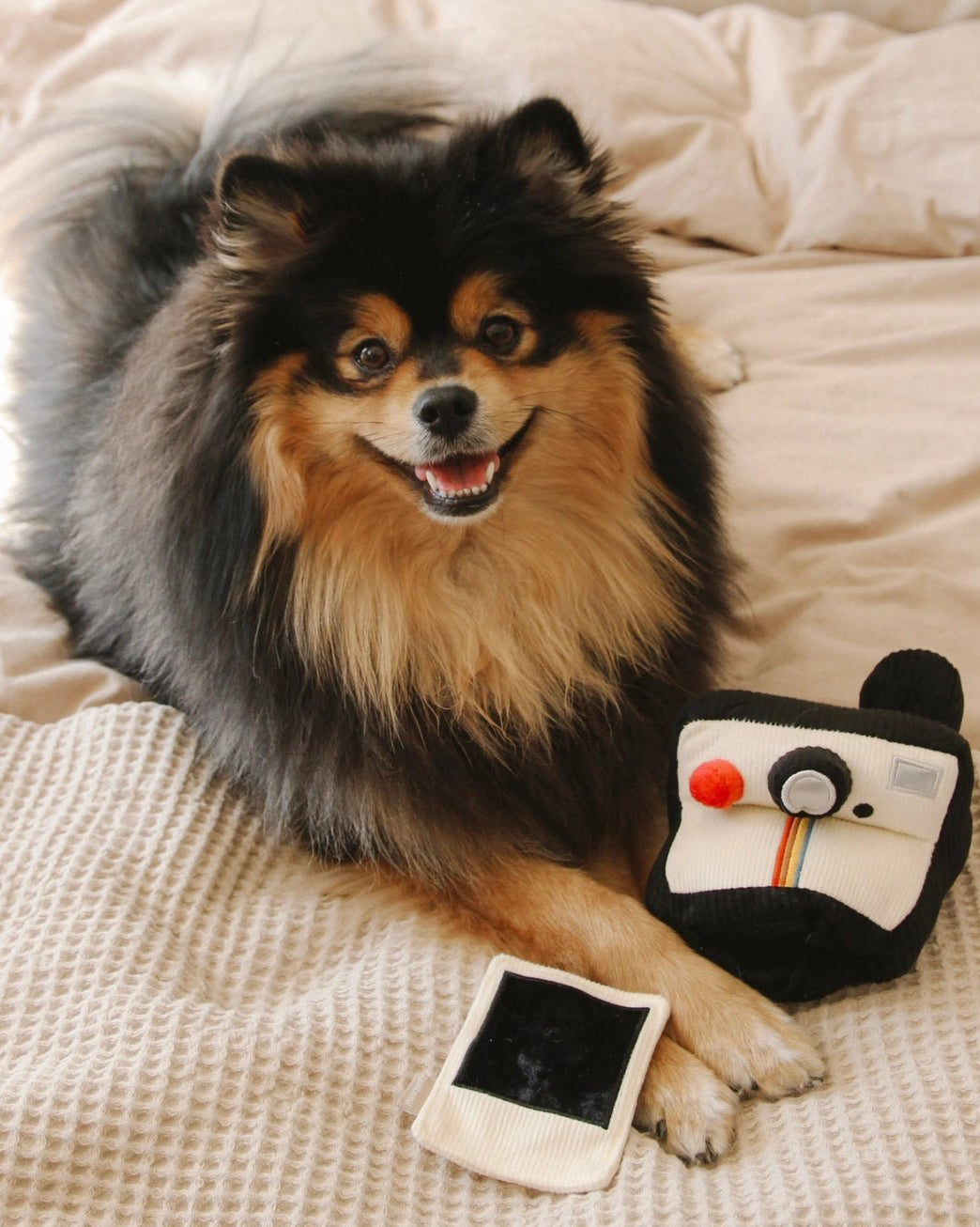 Instant Camera Enrichment Toy - Modern Companion