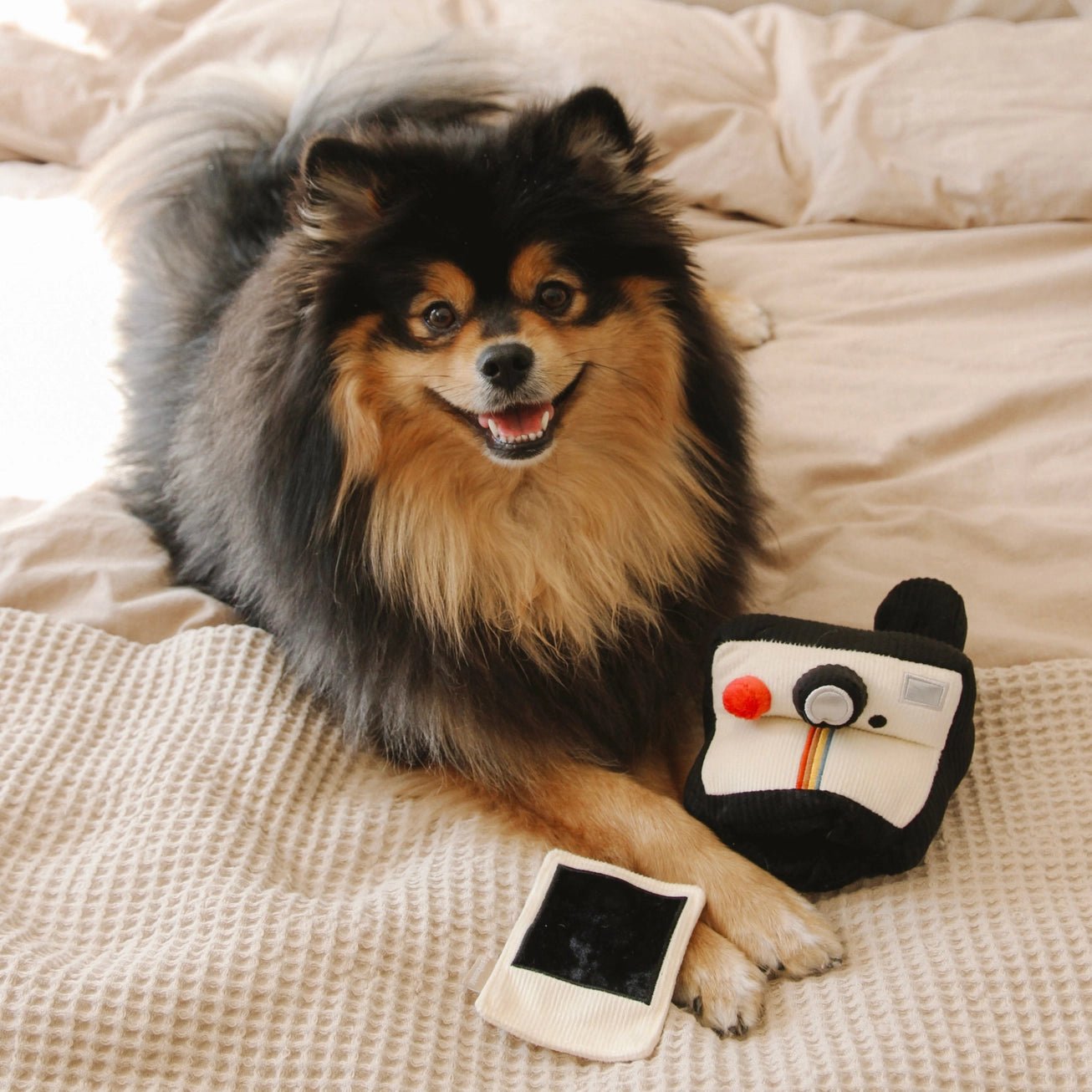 Instant Camera Enrichment Toy - Modern Companion