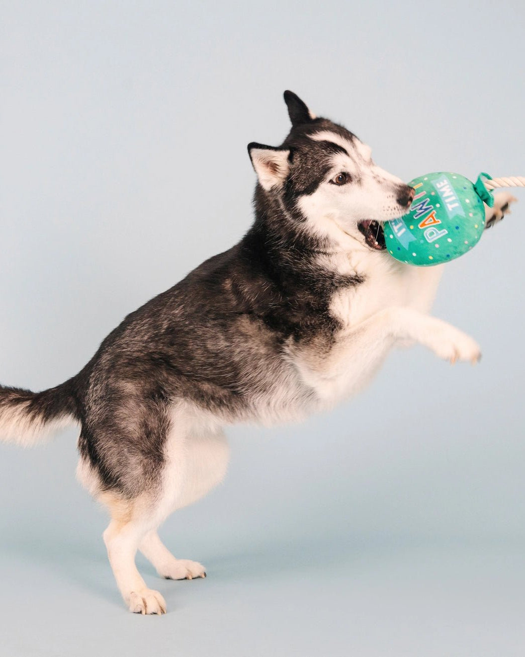 It's Pawty Time Balloon Toy - Modern Companion