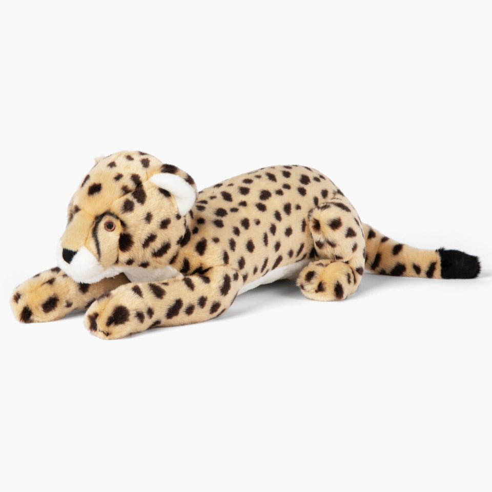 Kali Cheetah - Modern Companion