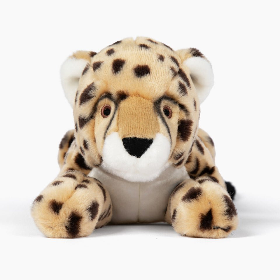 Kali Cheetah - Modern Companion