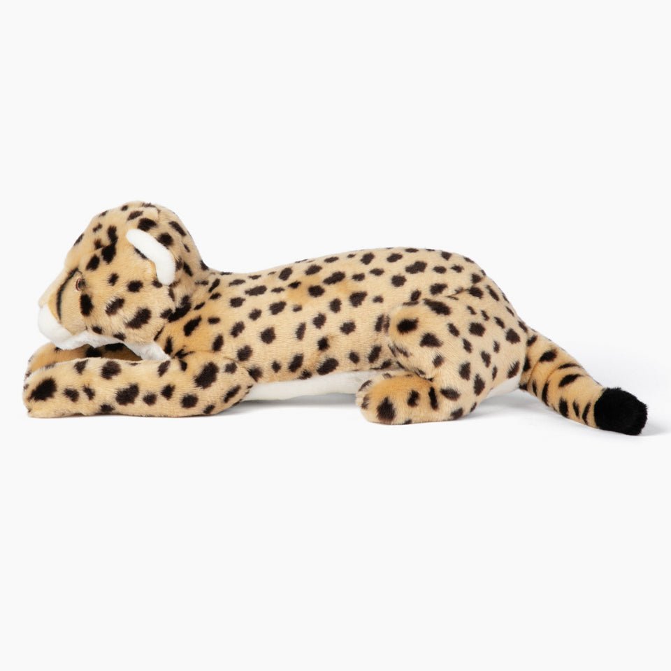 Kali Cheetah - Modern Companion