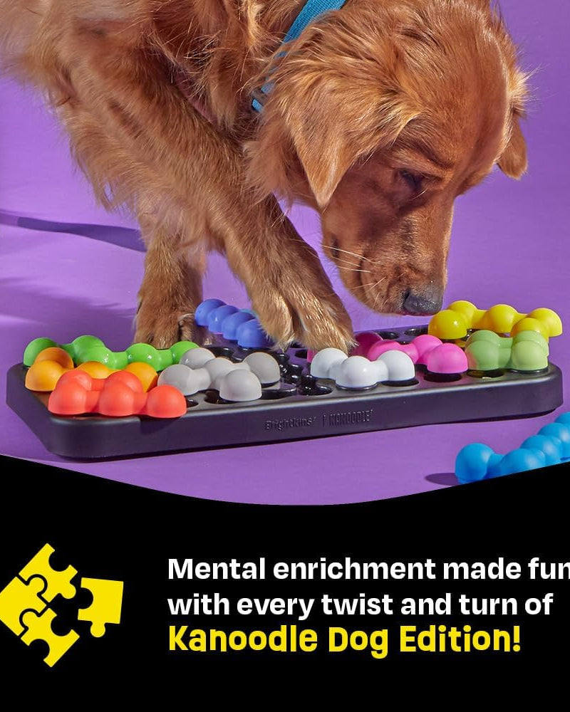 Kanoodle Puzzle - Modern Companion