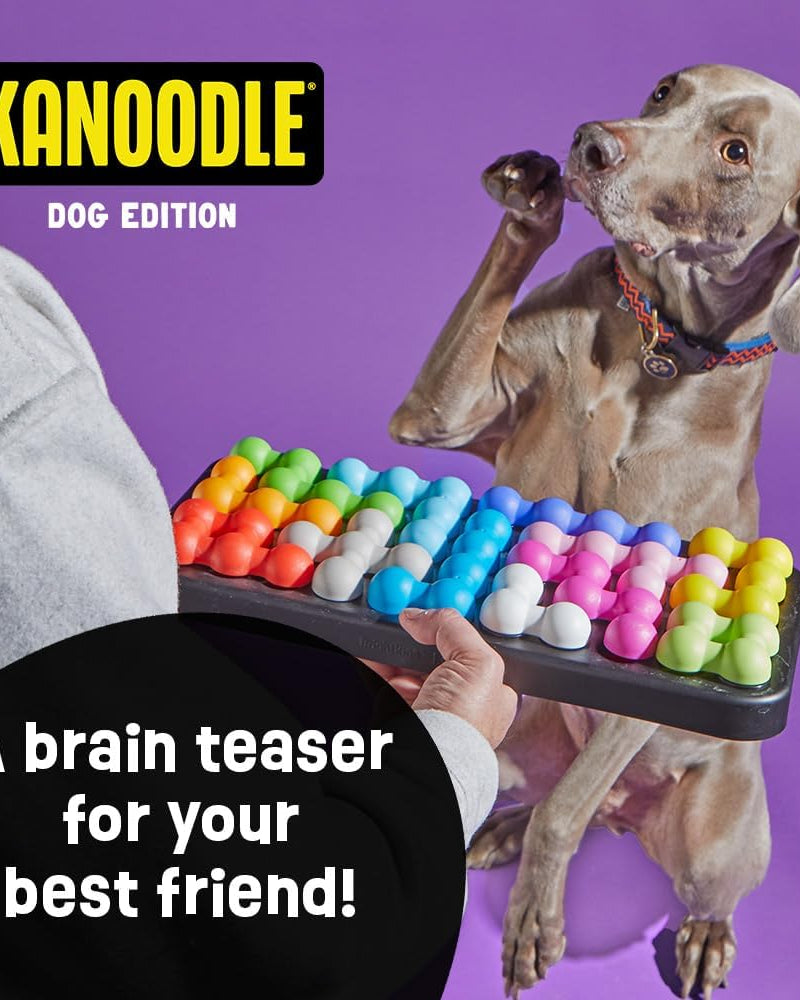 Kanoodle Puzzle - Modern Companion