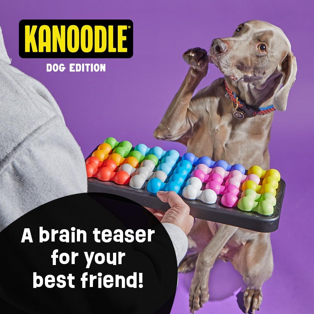 Kanoodle Puzzle - Modern Companion