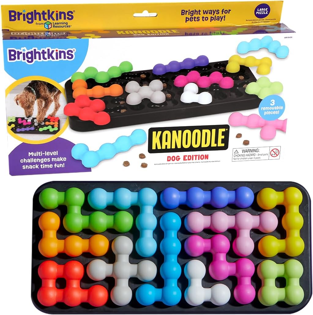 Kanoodle Puzzle - Modern Companion