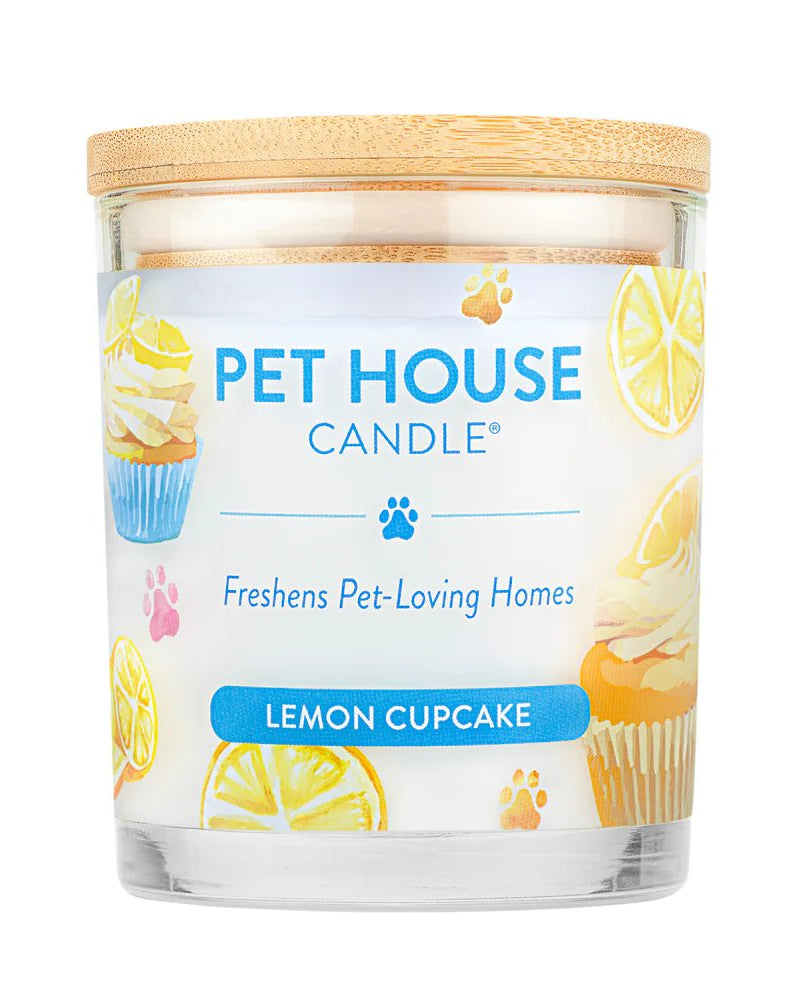 Lemon Cupcake Candle - Modern Companion