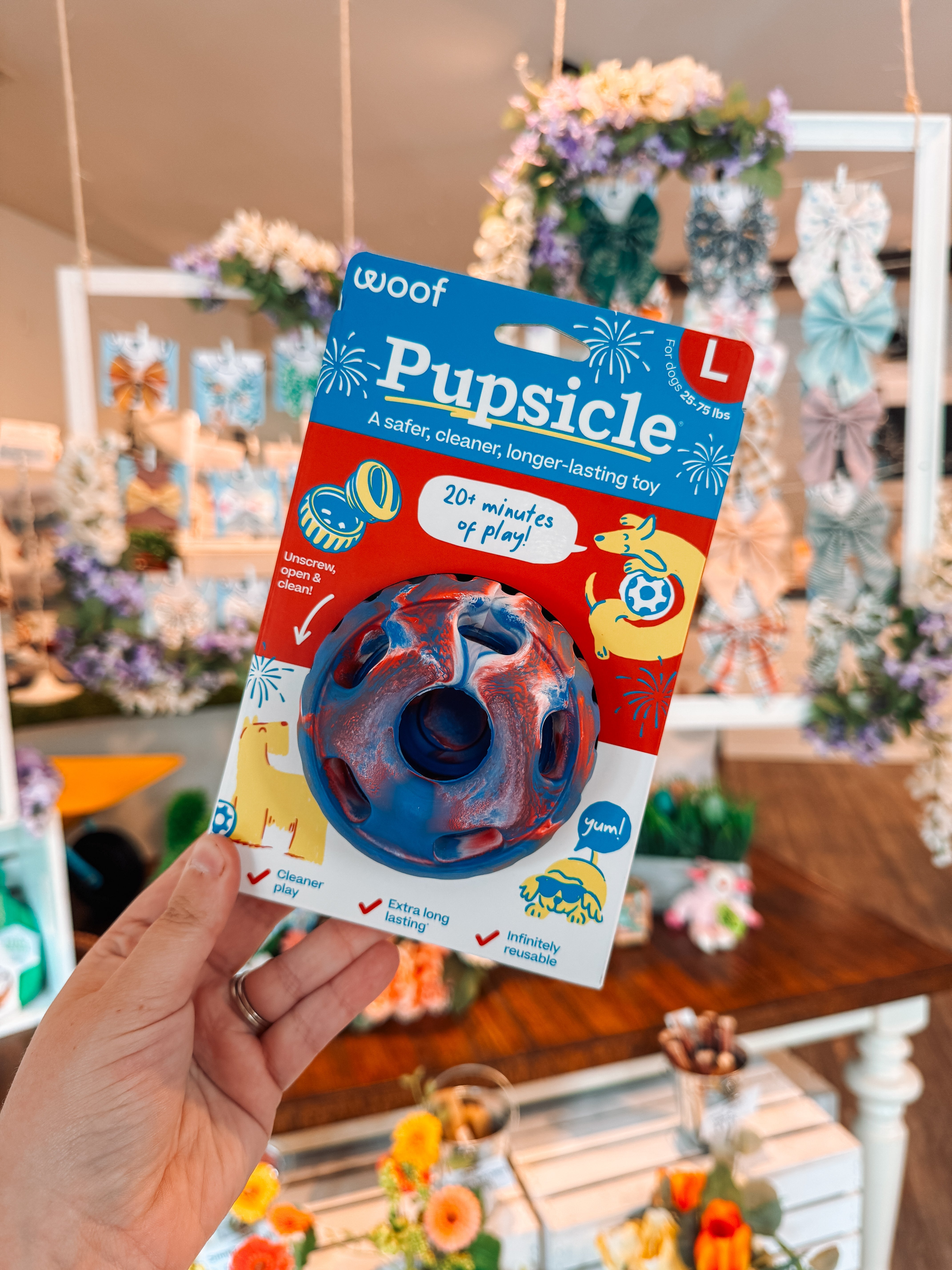 Limited Edition 4th Of July Pupsicle - Modern Companion