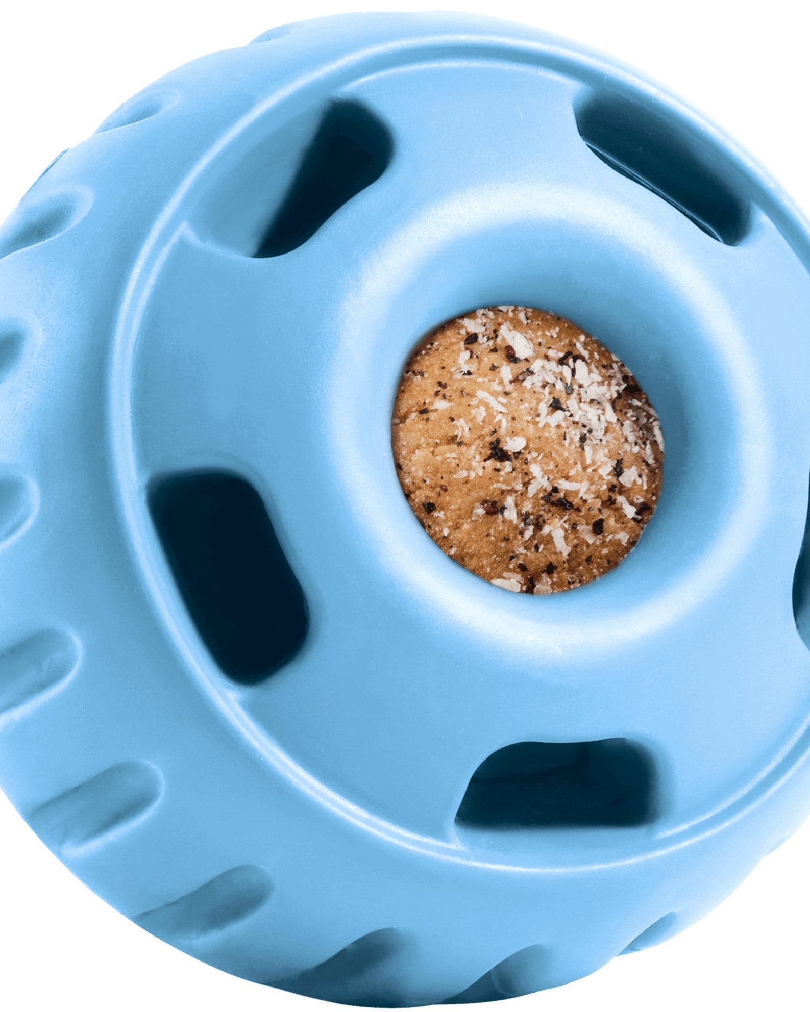 Limited Edition Blue Pupsicle - Modern Companion