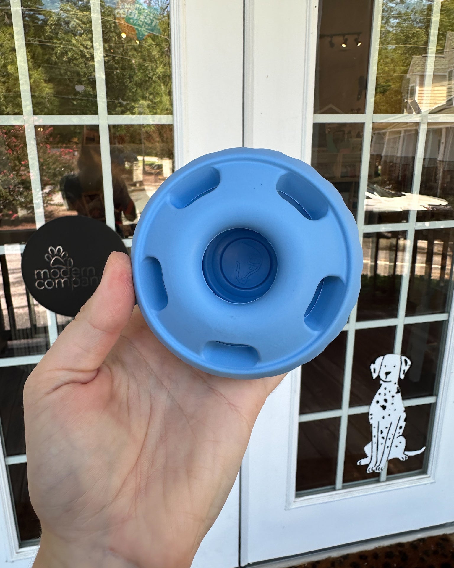 Limited Edition Blue Pupsicle - Modern Companion