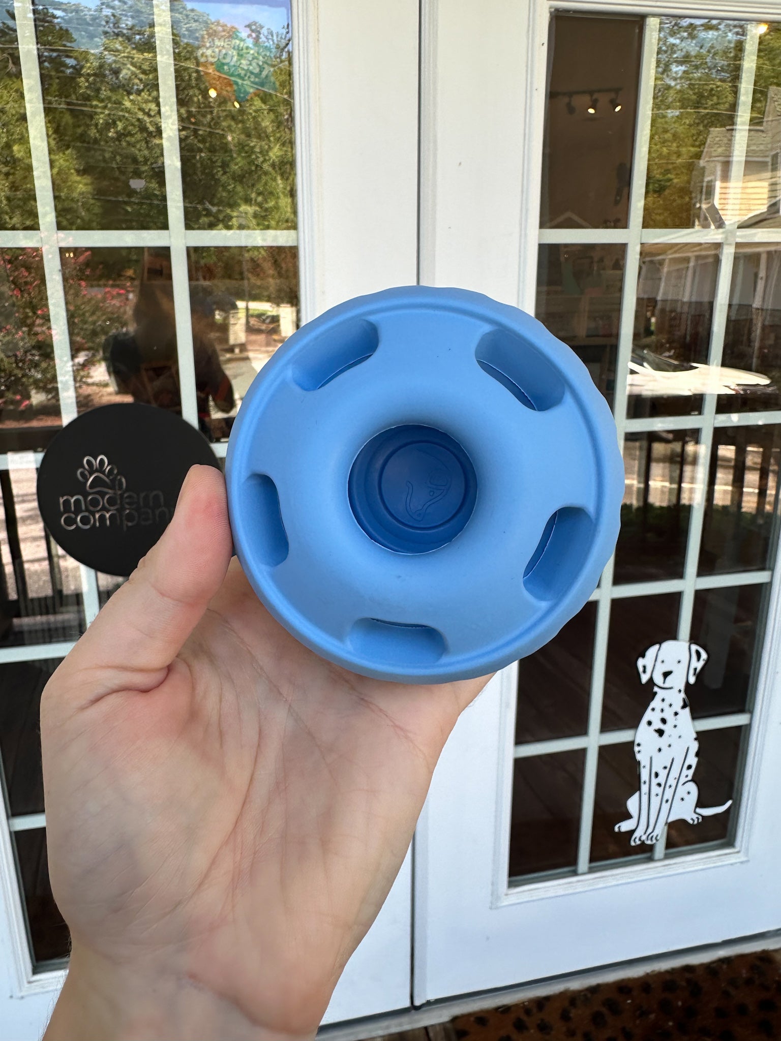 Limited Edition Blue Pupsicle - Modern Companion