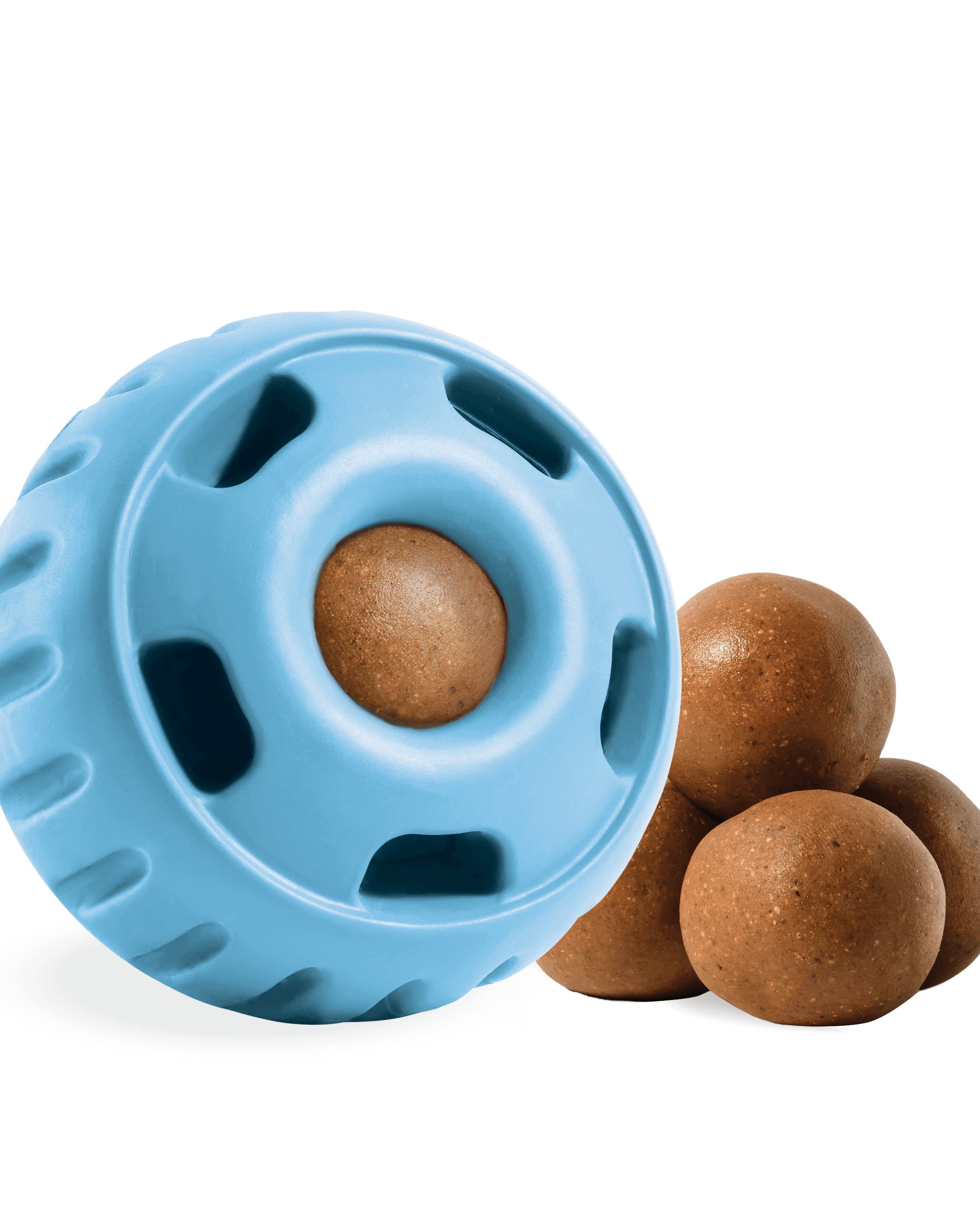 Limited Edition Blue Pupsicle - Modern Companion