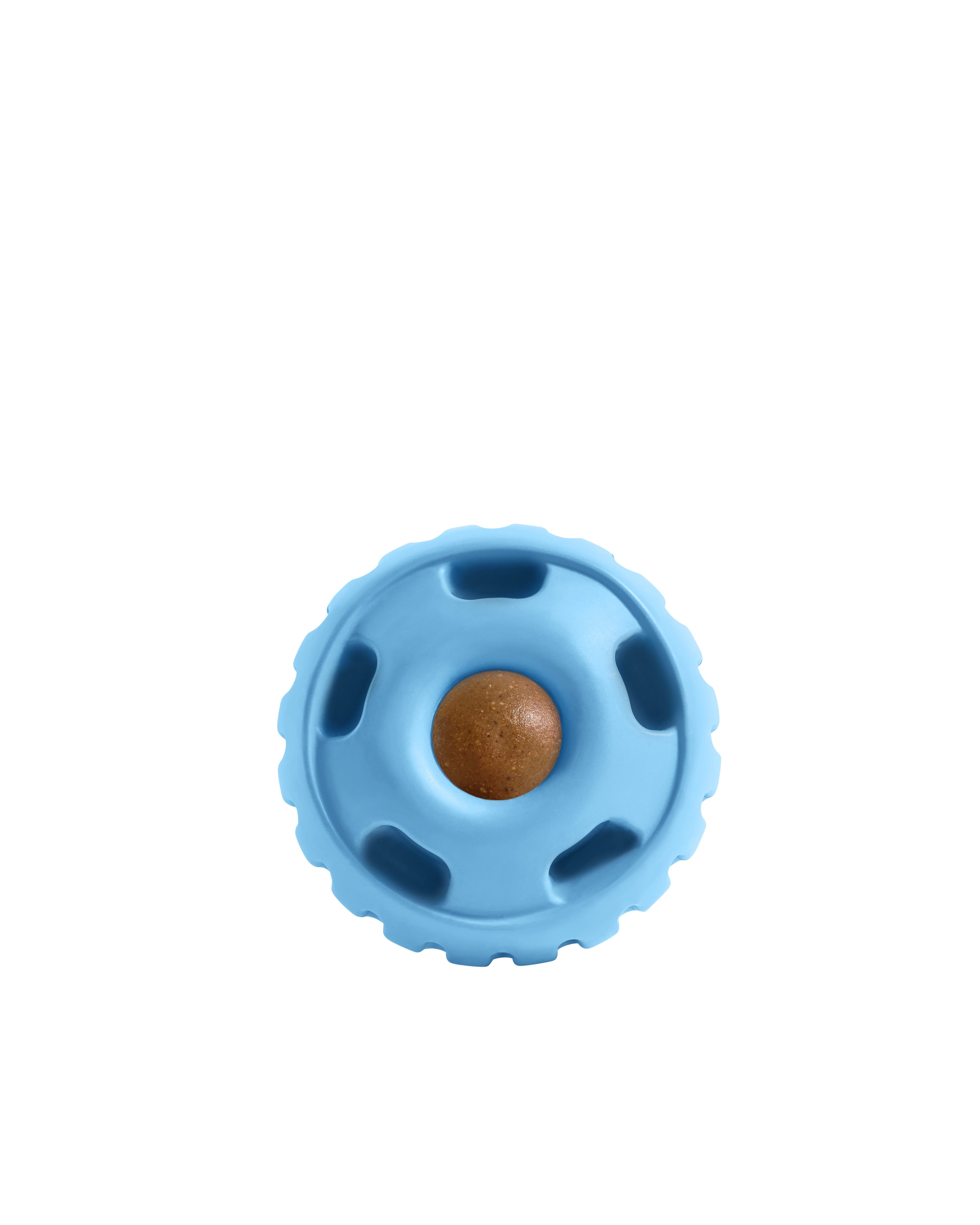 Limited Edition Blue Pupsicle - Modern Companion