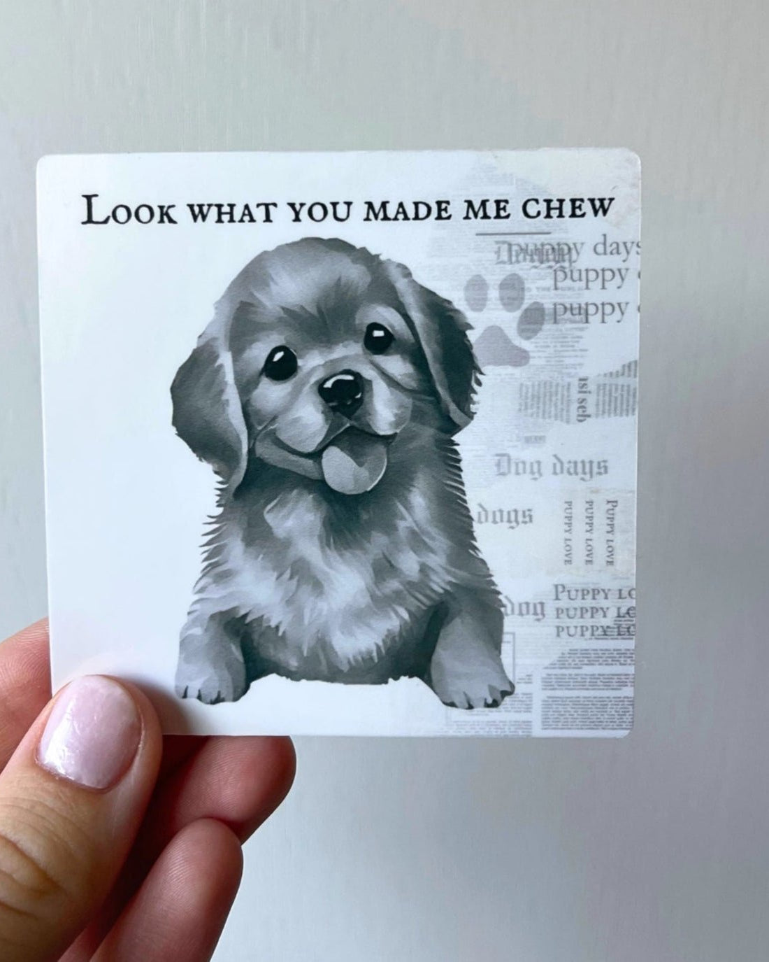 Look What You Made Me Chew Sticker - Modern Companion