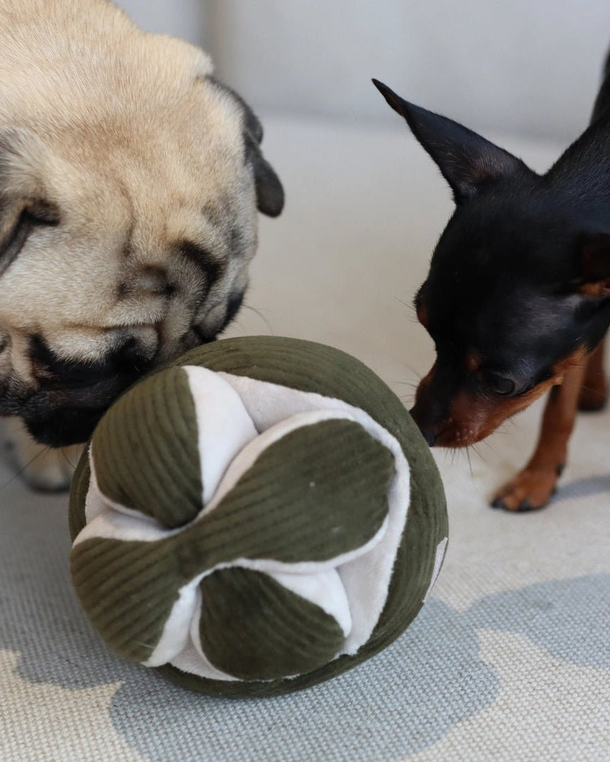 Mini Monti Snuffle Toy - Modern Companion
