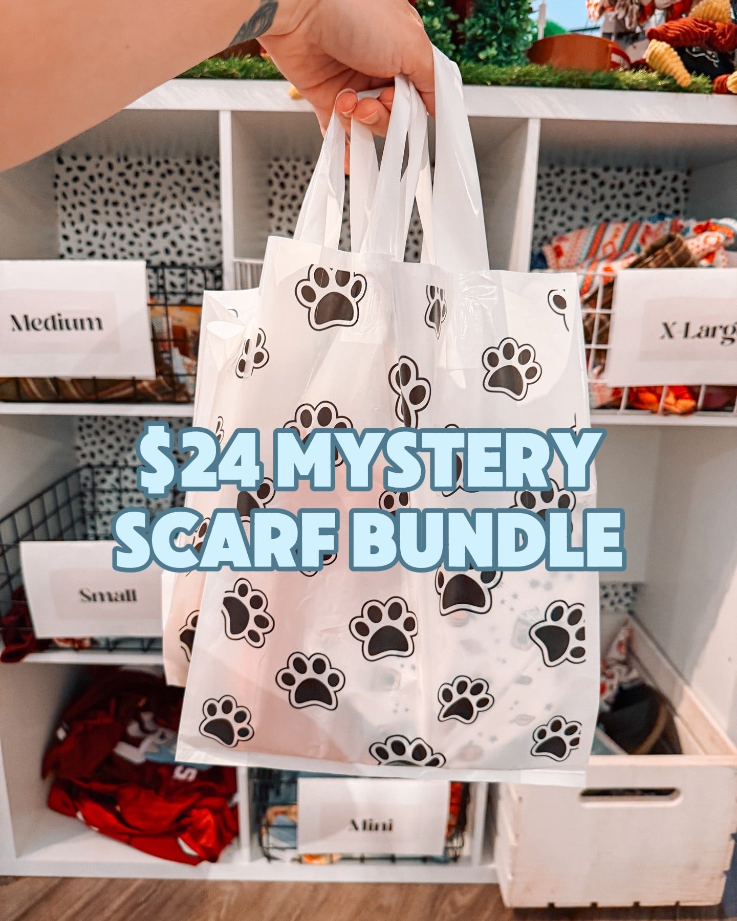 Mystery Scarf Bundle - Modern Companion