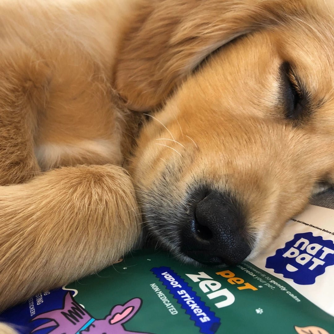 Natural Calming & Anti - Anxiety Pet Stickers - Modern Companion