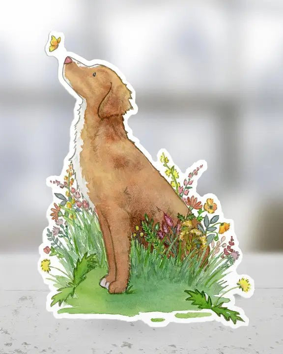 Nova Scotia Duck Retriever Sticker - Modern Companion