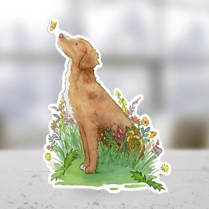 Nova Scotia Duck Retriever Sticker - Modern Companion
