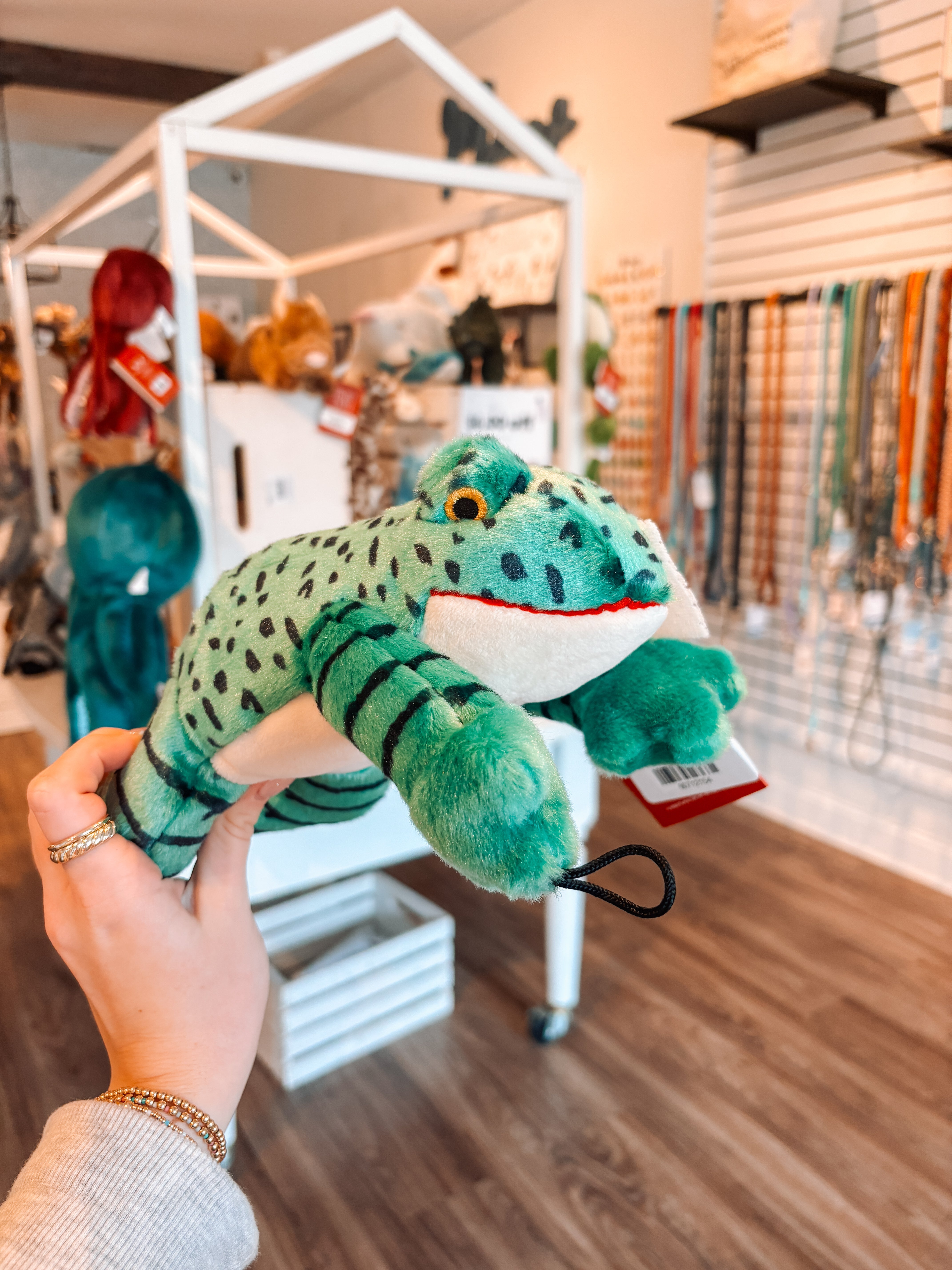 Oliver Frog - Modern Companion