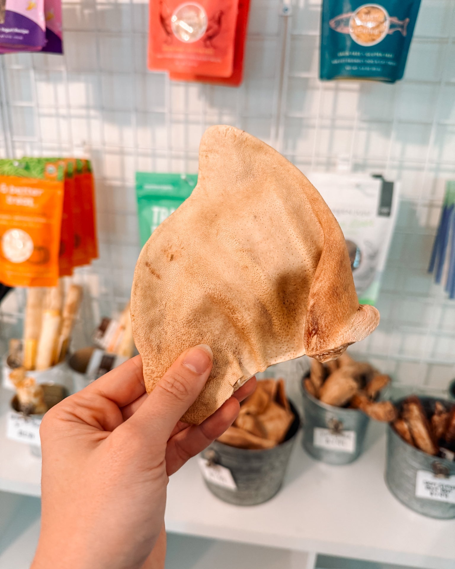 Pig Ear Chew - Modern Companion