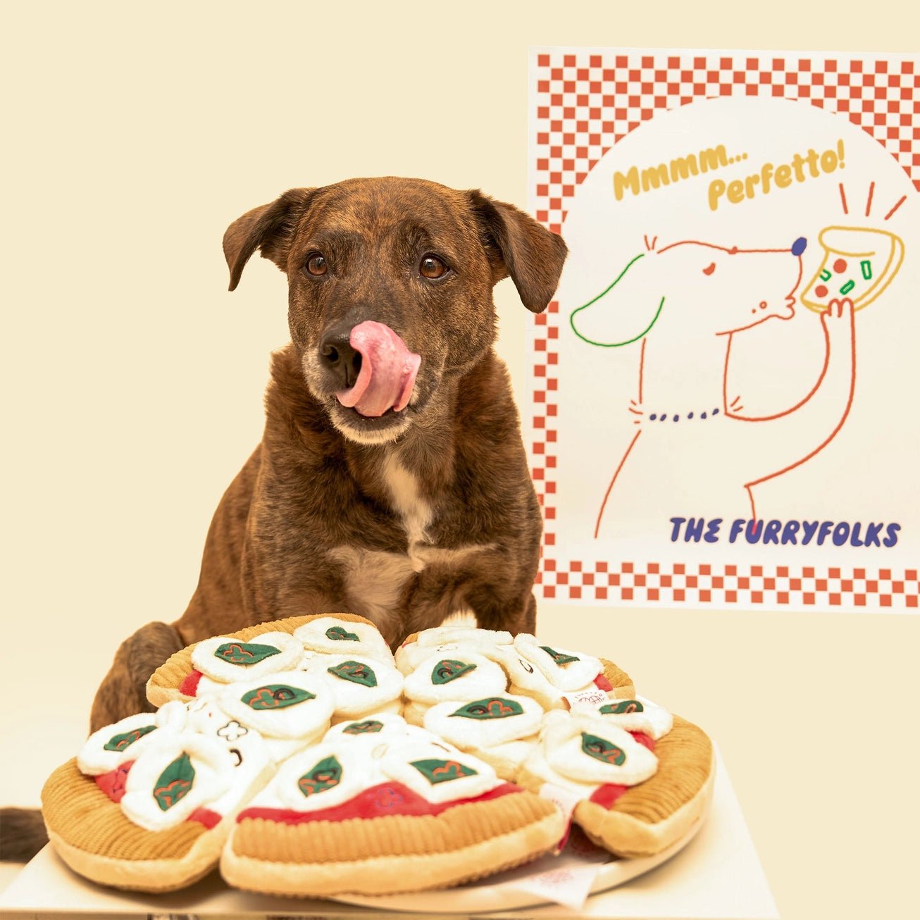 Pizza Nosework Toy - Modern Companion
