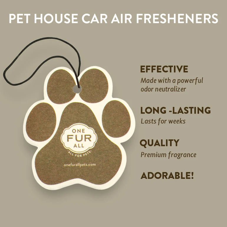 Pumpkin Spice Car Freshener - Modern Companion