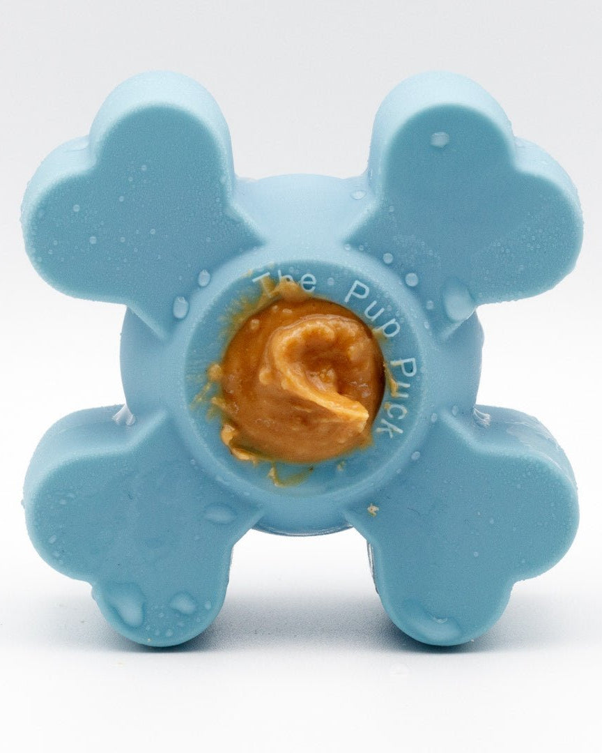 Pup Puck Toy - Modern Companion