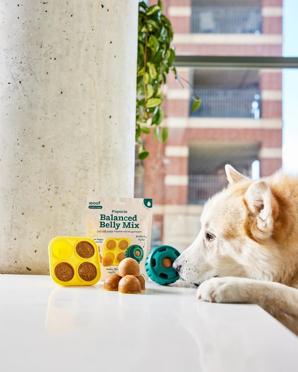Pupsicle Treat Mix - Balanced Belly - Modern Companion