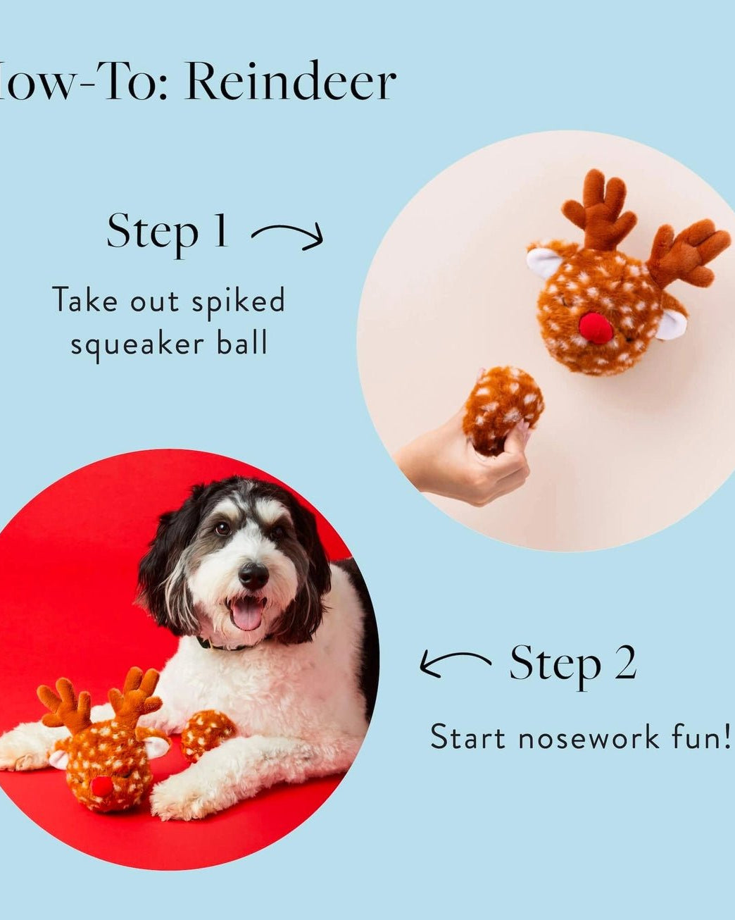 Reindeer 2 - in - 1 Bounce Toy - Modern Companion