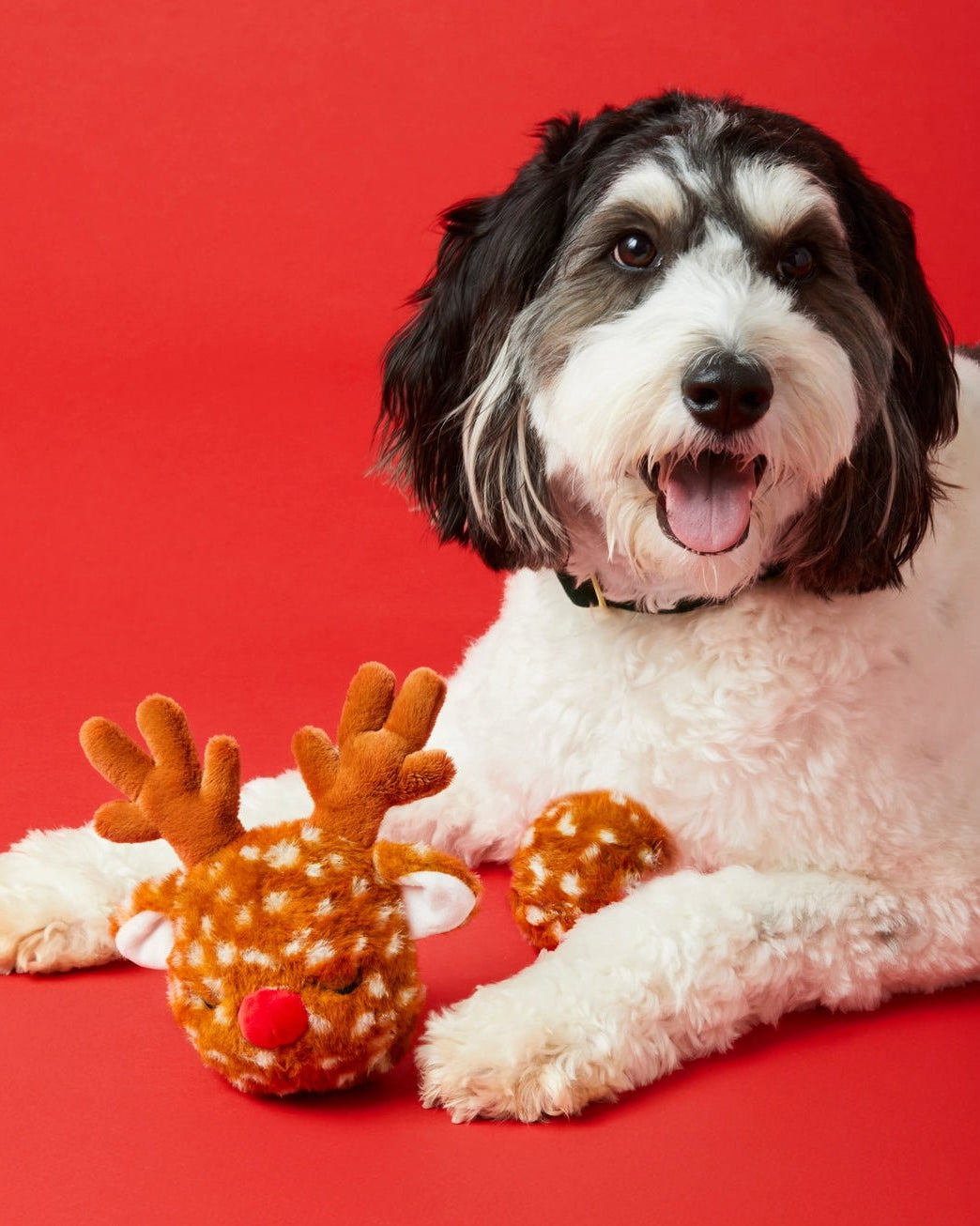 Reindeer 2 - in - 1 Bounce Toy - Modern Companion