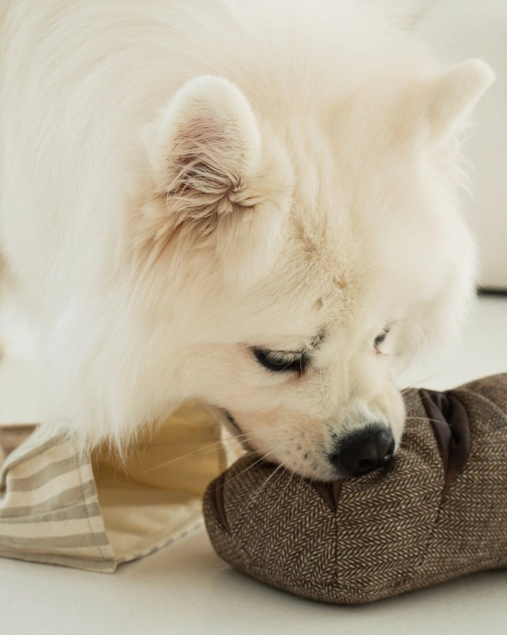 Rye Enrichment Toy - Modern Companion