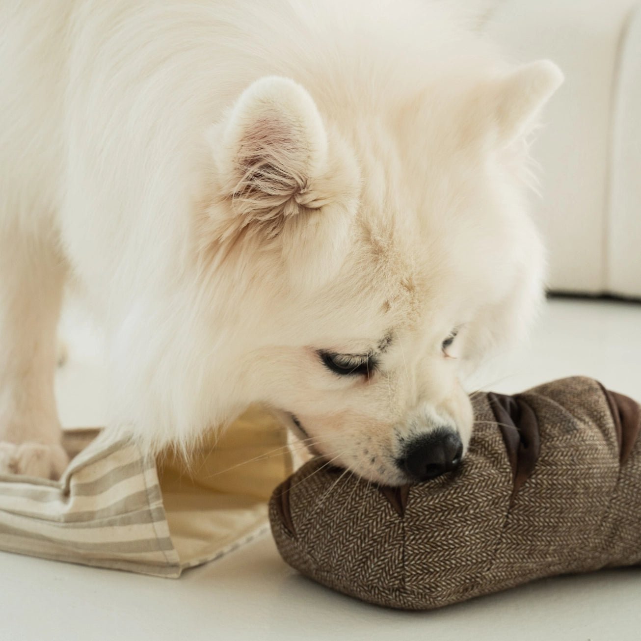 Rye Enrichment Toy - Modern Companion