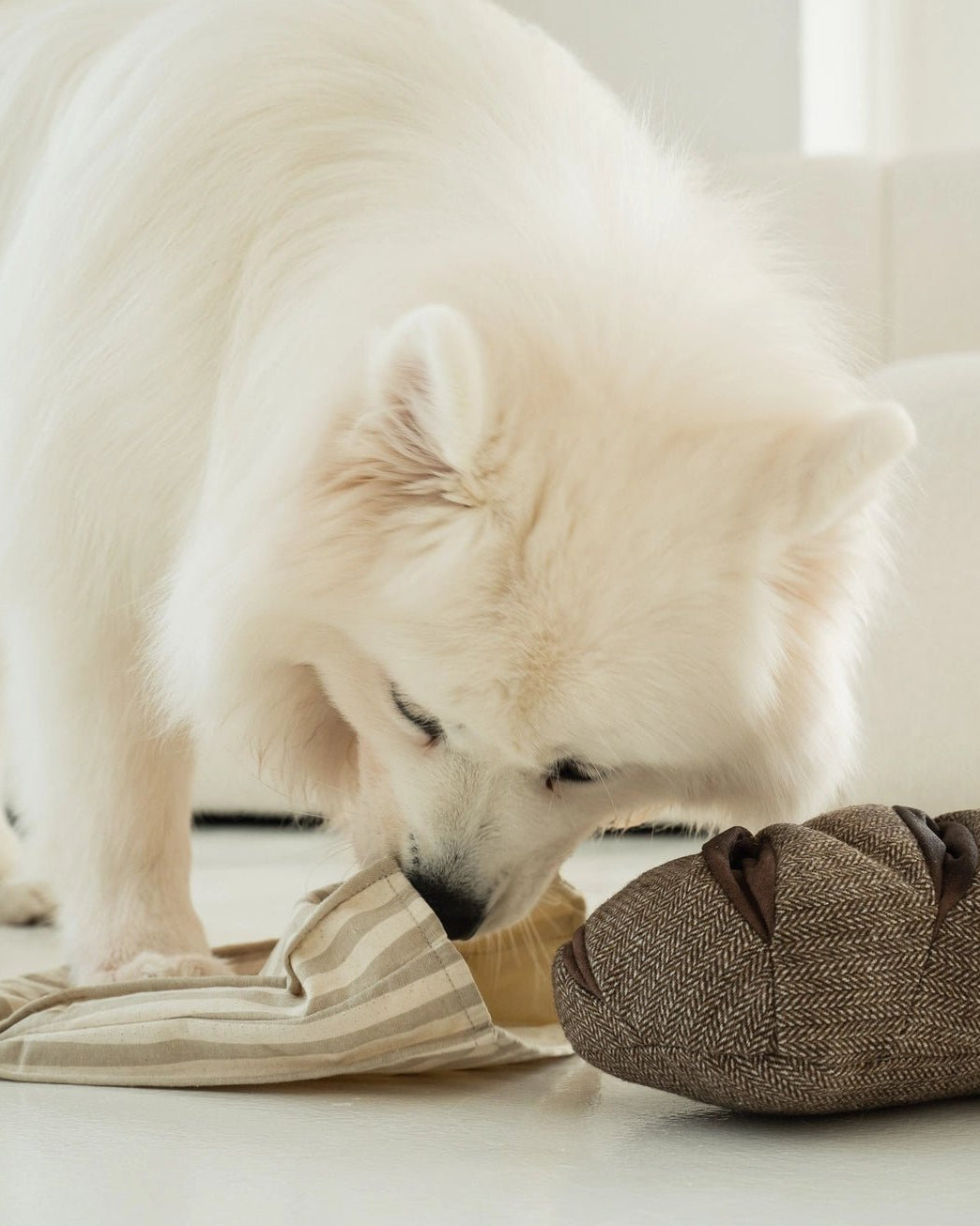 Rye Enrichment Toy - Modern Companion