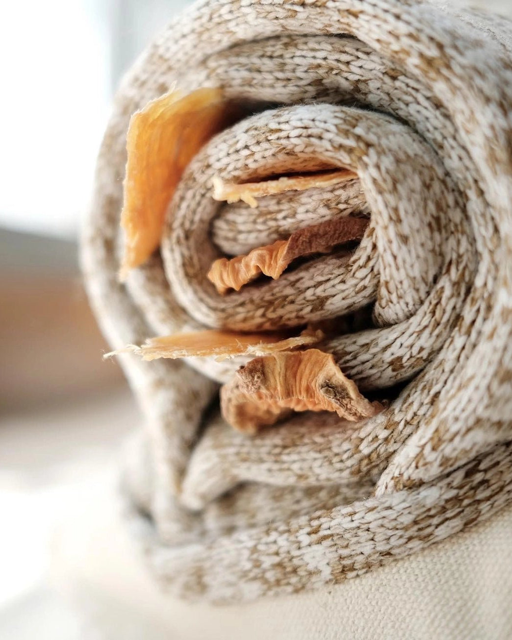 Snail Enrichment Toy - Modern Companion