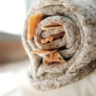 Snail Enrichment Toy - Modern Companion