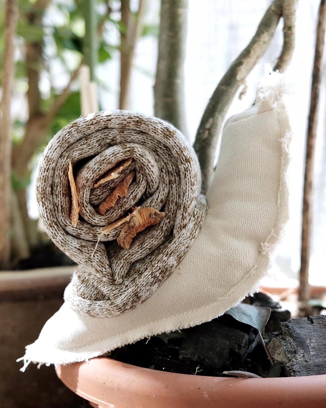 Snail Enrichment Toy - Modern Companion