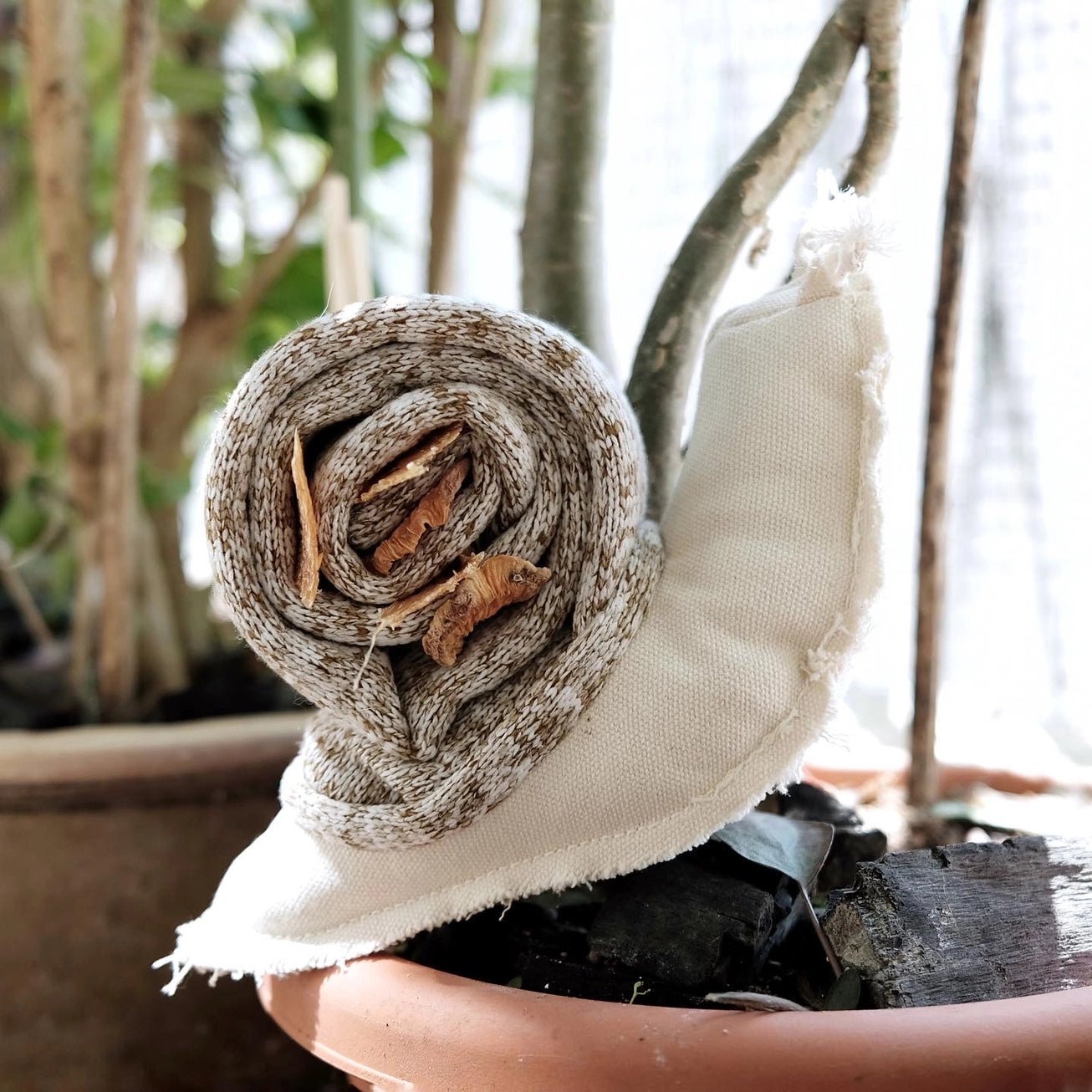 Snail Enrichment Toy - Modern Companion