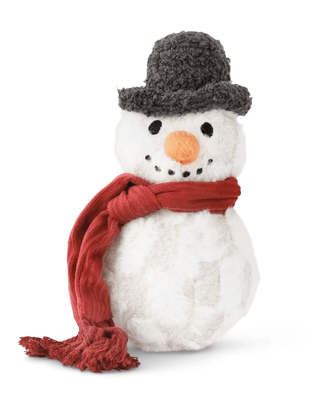 Snowman Enrichment Toy - Modern Companion